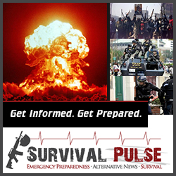 Banner Ad Design by creationz2011 for Survival Pulse | Design: #2596612