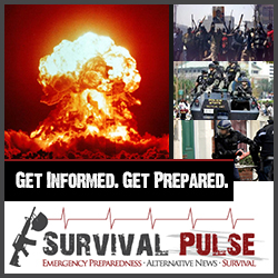 Banner Ad Design by creationz2011 for Survival Pulse | Design #2596961