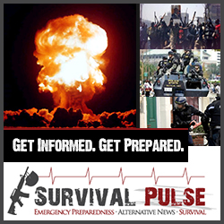 Banner Ad Design by creationz2011 for Survival Pulse | Design #2610232