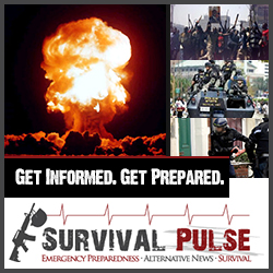 Banner Ad Design by creationz2011 for Survival Pulse | Design: #2610232