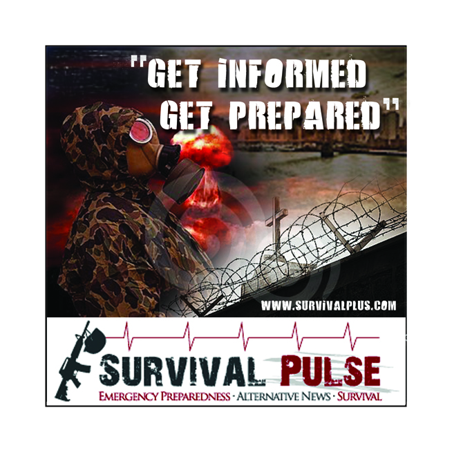 Banner Ad Design by jmsgraphicdesign for Survival Pulse | Design #2597027