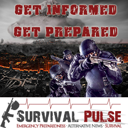 Banner Ad Design by FutureDesigne for Survival Pulse | Design: #2602767