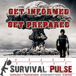 Banner Ad Design by FutureDesigne for Survival Pulse | Design #2602769