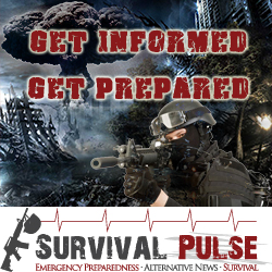 Banner Ad Design by FutureDesigne for Survival Pulse | Design: #2602788