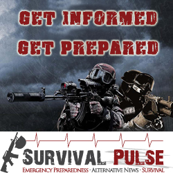 Banner Ad Design by FutureDesigne for Survival Pulse | Design: #2604698