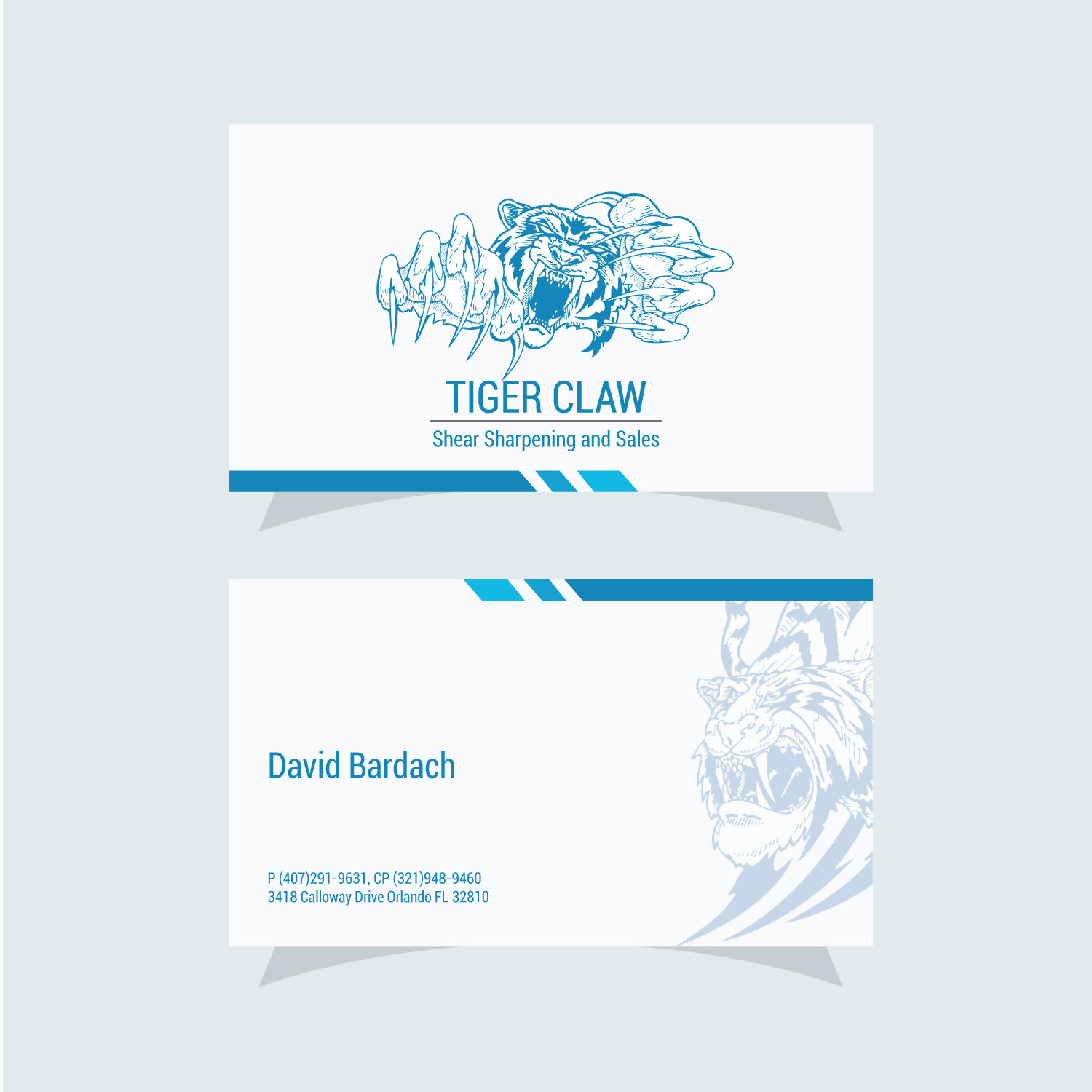 Business Card Design by RalkoV for this project | Design #15268318