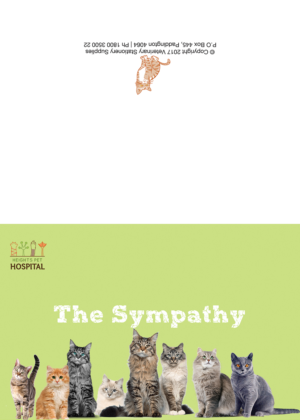 Stationery Design by pengraphteam
