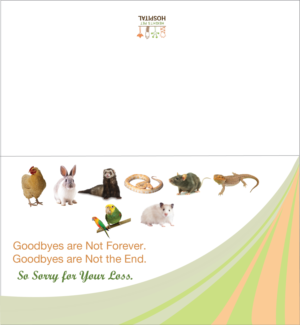 Stationery Design by finetouchc for Heights Pet Hospital | Design: #15292864