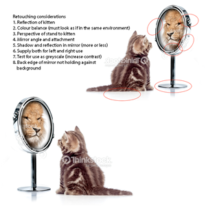 Graphic Design by Neoguy for this project | Design: #2577381