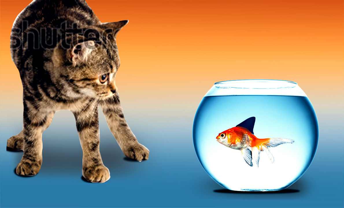 Graphic Design by CristianVoicu for this project | Design #2612134