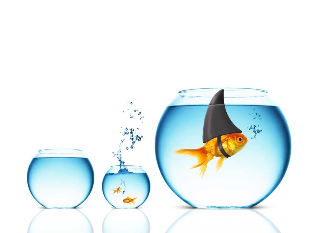 Graphic Design by san011 for this project | Design #2594697