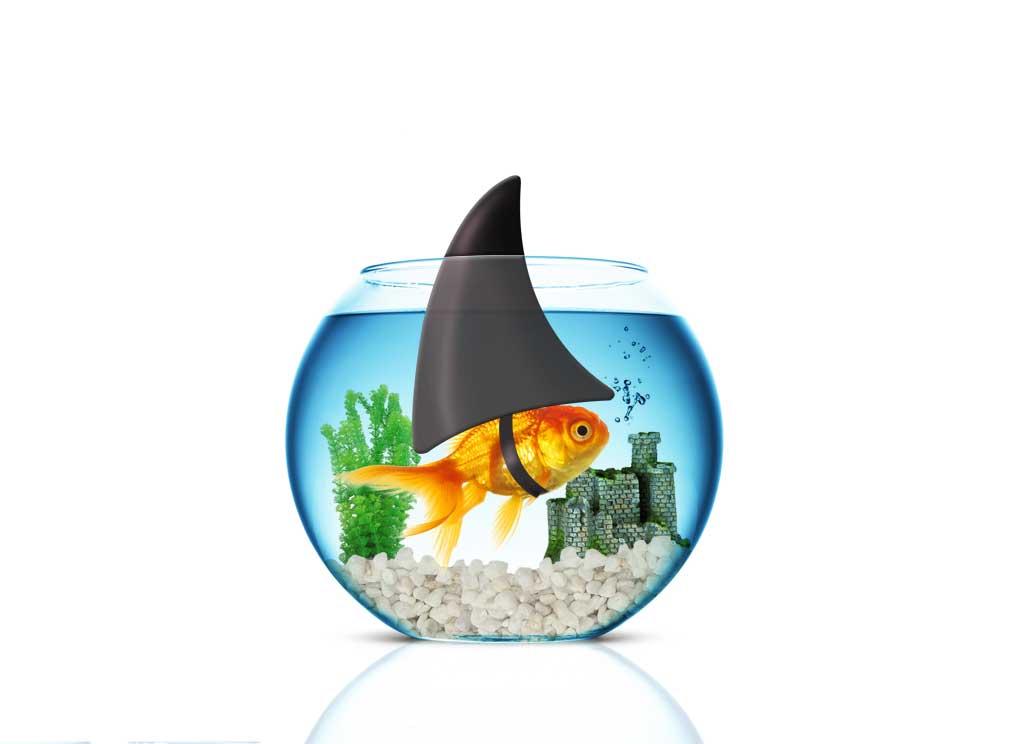 Graphic Design by san011 for this project | Design #2597212