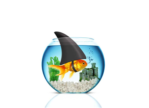 Graphic Design by san011 for this project | Design: #2597525