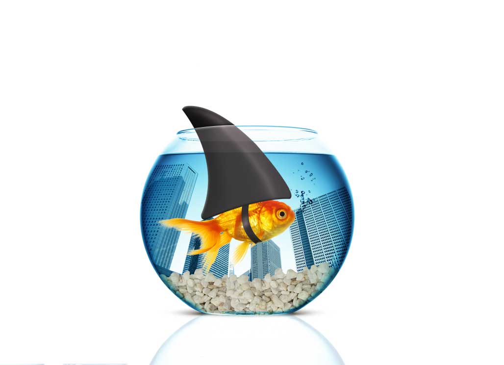 Graphic Design by san011 for this project | Design #2599777