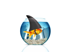Graphic Design by san011 for this project | Design: #2599777