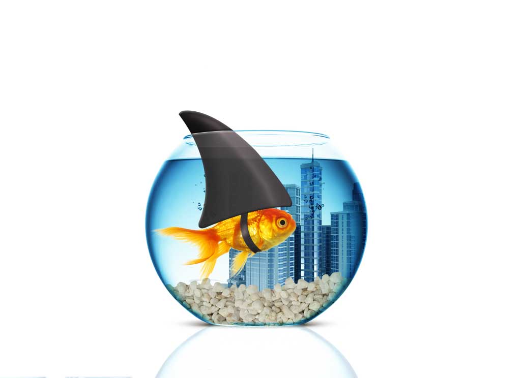 Graphic Design by san011 for this project | Design #2599779