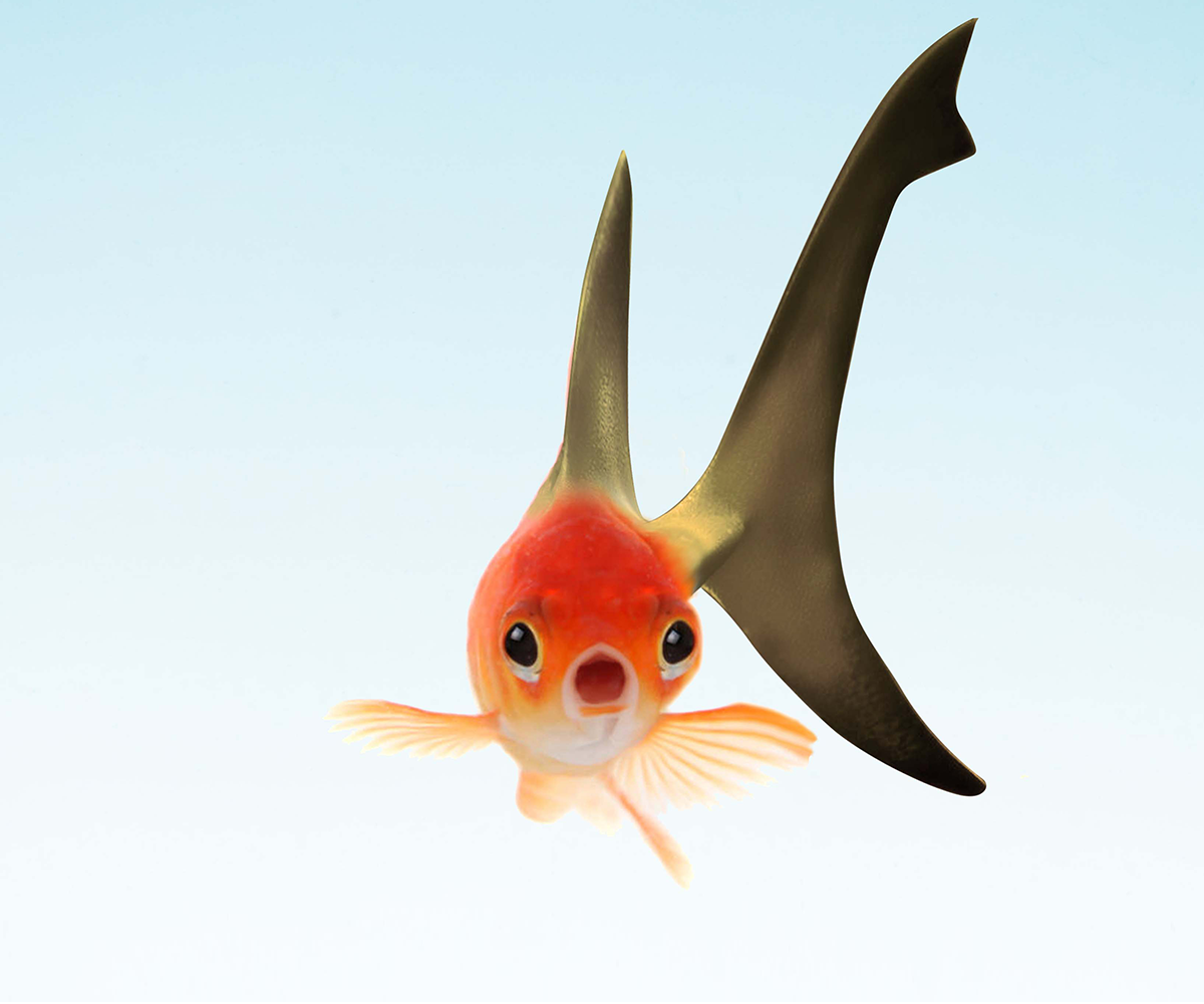 Graphic Design by alice for this project | Design #2610038