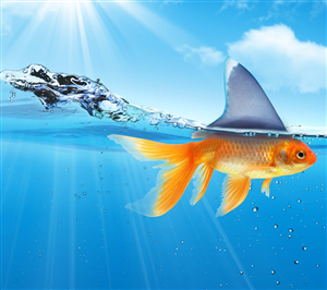 Graphic Design by alice for this project | Design: #2611394