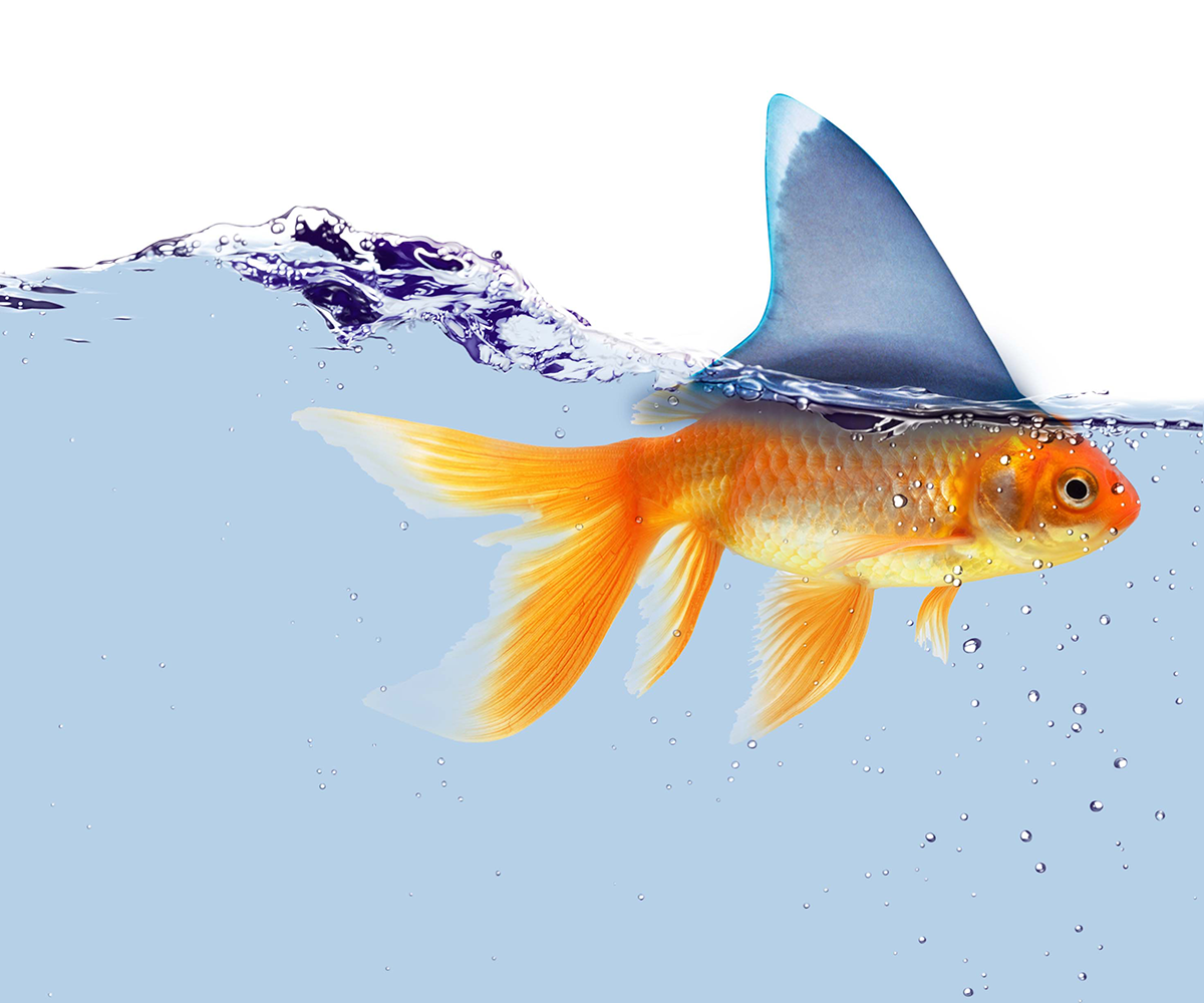 Graphic Design by alice for this project | Design #2611403