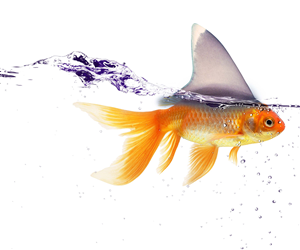 Graphic Design by alice for this project | Design: #2611406