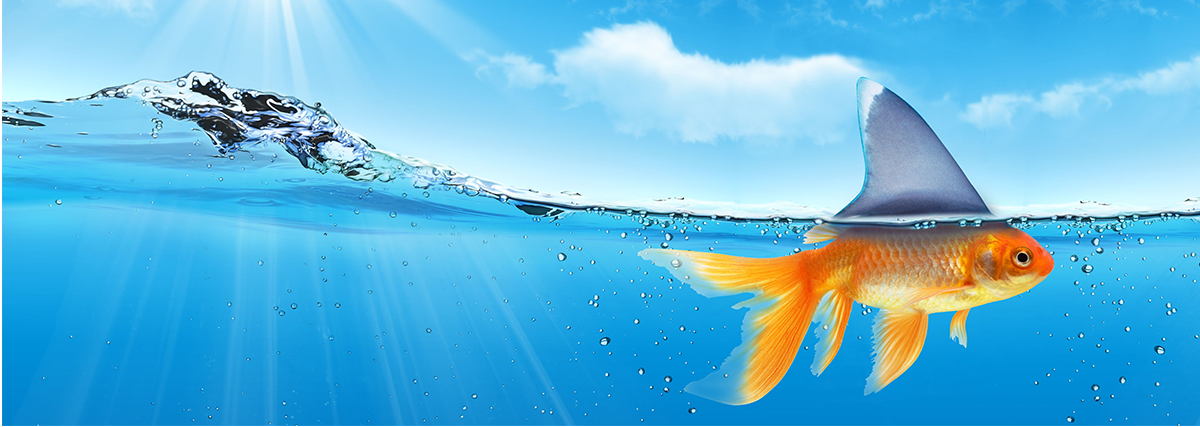 Graphic Design by alice for this project | Design: #2644650