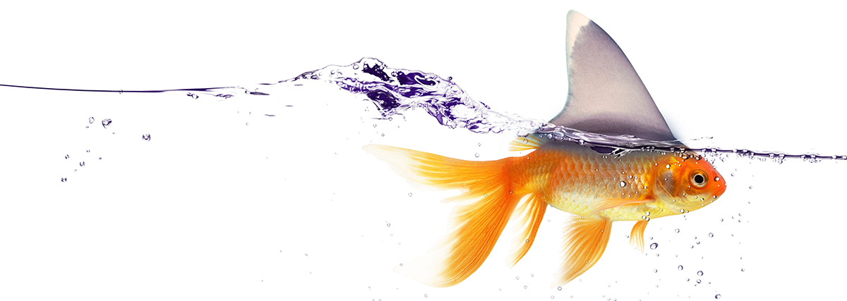 Design Graphique par alice pour ce projet | Design #2644981