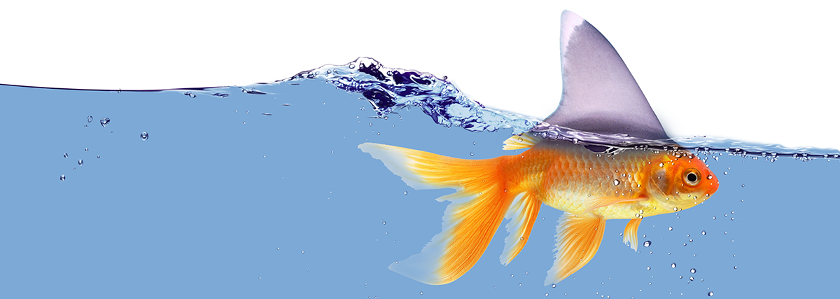 Graphic Design by alice for this project | Design #2644985