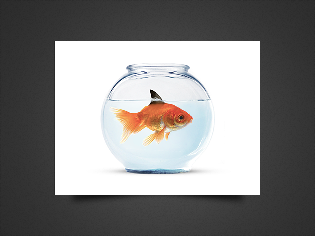 Graphic Design by strxyzll for this project | Design #2630633