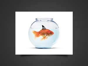 Graphic Design by strxyzll for this project | Design: #2630633