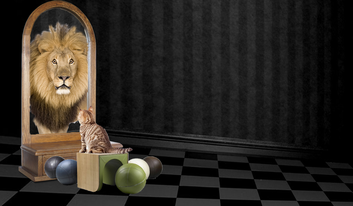 Diseño Gráfico por russyiddin para este proyecto | Diseño #2617497