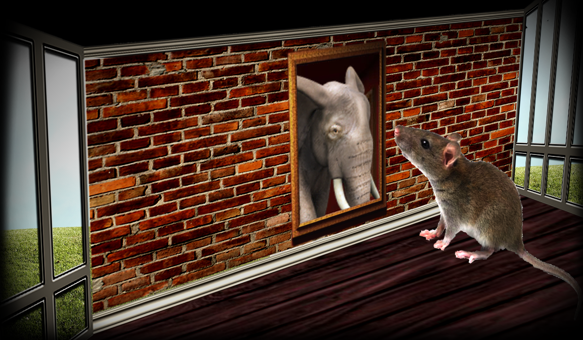 Graphic Design by russyiddin for this project | Design #2617509