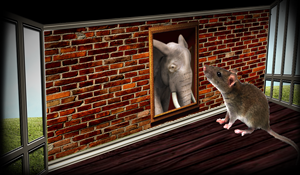 Graphic Design by russyiddin for this project | Design: #2617509