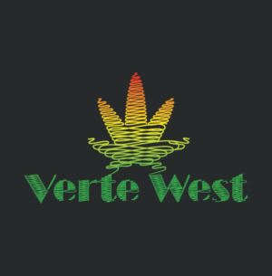 Logo Design by Zura Samushia