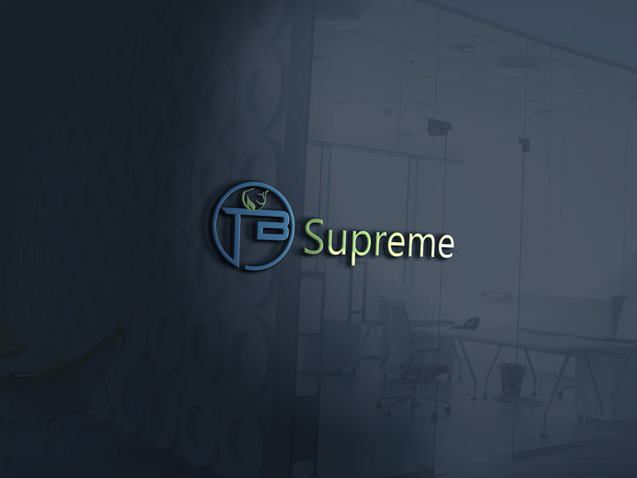 Logo Design by Top king  designer for Vinnie Leone | Design #15298180