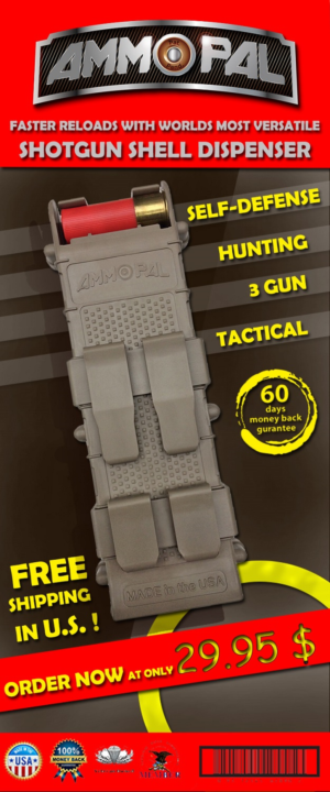 Design de Flyer par Muhaiminul.Rahi pour ce projet | Design : #15264982