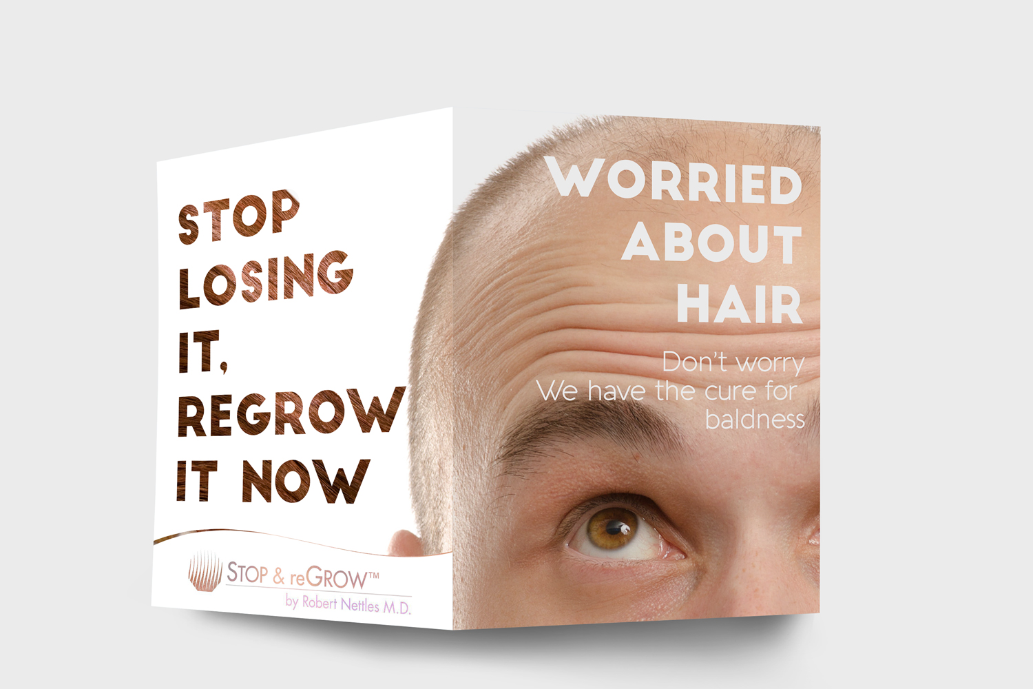 Design de Flyer par BC Arts pour Stop and reGrow | Design #15500281