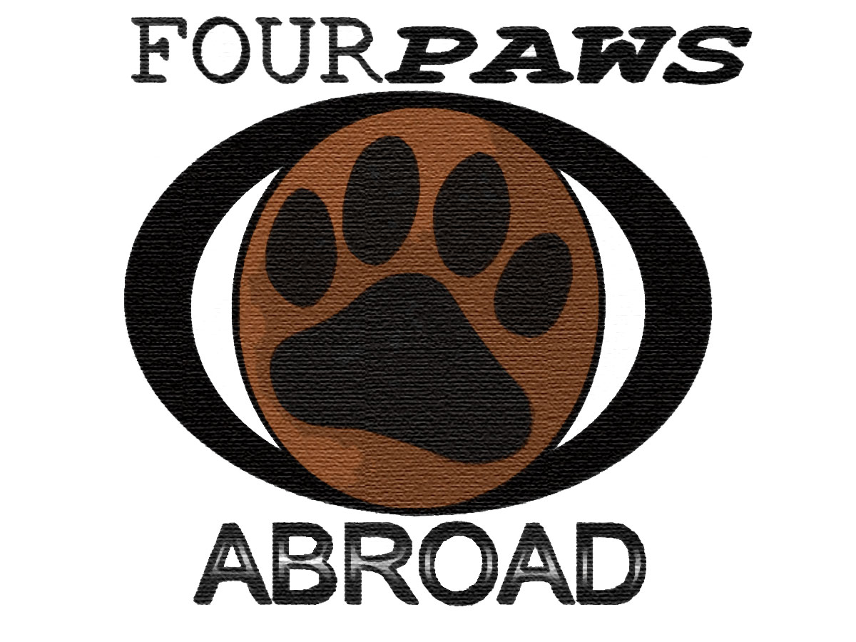 Diseño de Logo por doubleSTARlogos para este proyecto | Diseño #592029