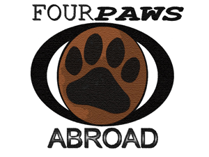 Logo Design by doubleSTARlogos for this project | Design #592029