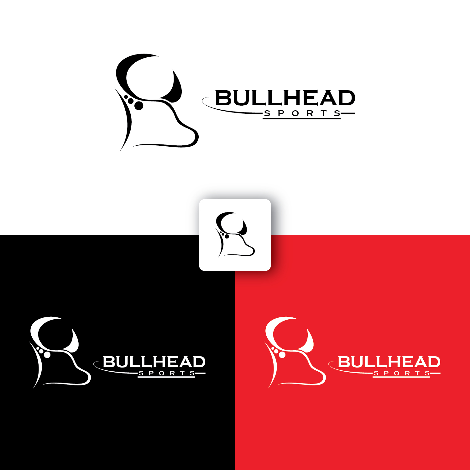 Logo Design by The Filly Studios for Dany Rocheleau | Design #16797204