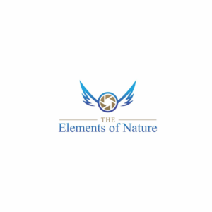 Logo Design by karthika vs for this project | Design: #15468961