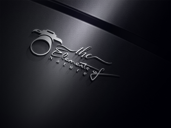 Logo Design by EGYPT KING for this project | Design #15313270