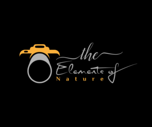 Logo Design by EGYPT KING for this project | Design: #15313272