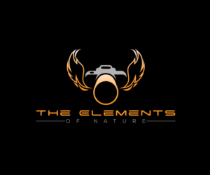 Logo Design by EGYPT KING for this project | Design: #15368415