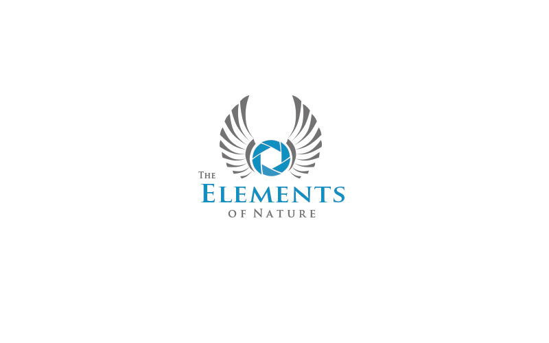 Logo Design by Tsveta for this project | Design #15295377