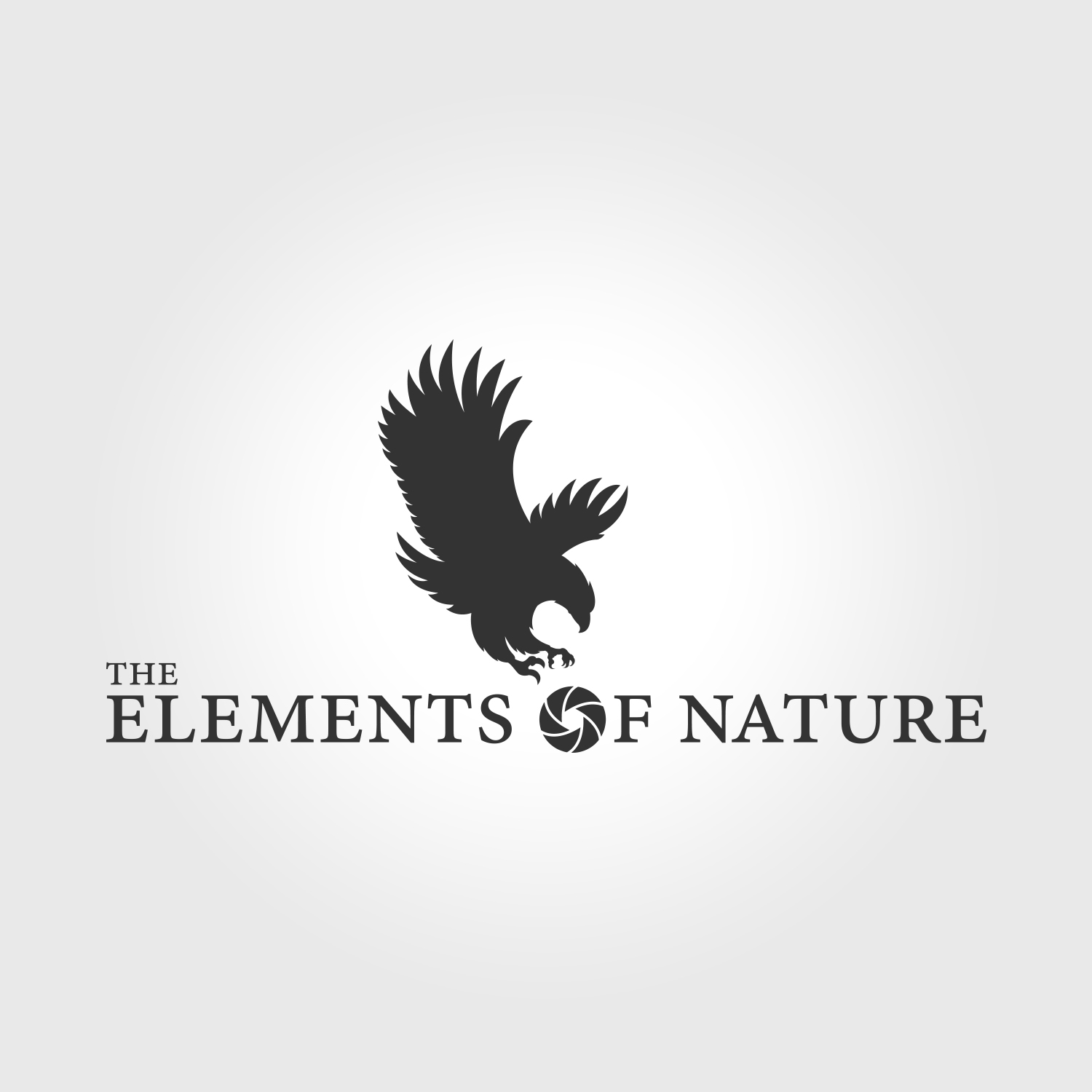 Logo Design by jeac for this project | Design #15381897