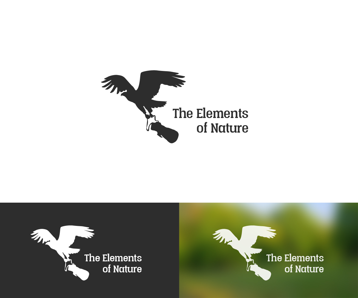 Logo Design by sinisadizajn for this project | Design #15386090