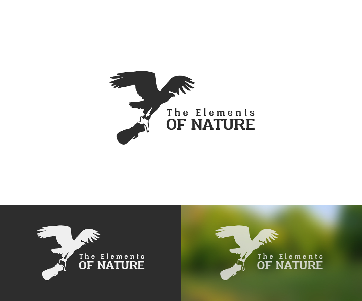 Logo Design by sinisadizajn for this project | Design #15392867