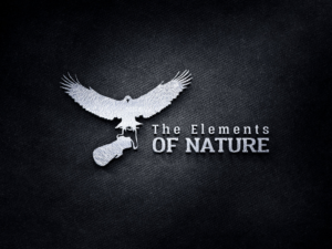 Logo Design by sinisadizajn for this project | Design: #15393873