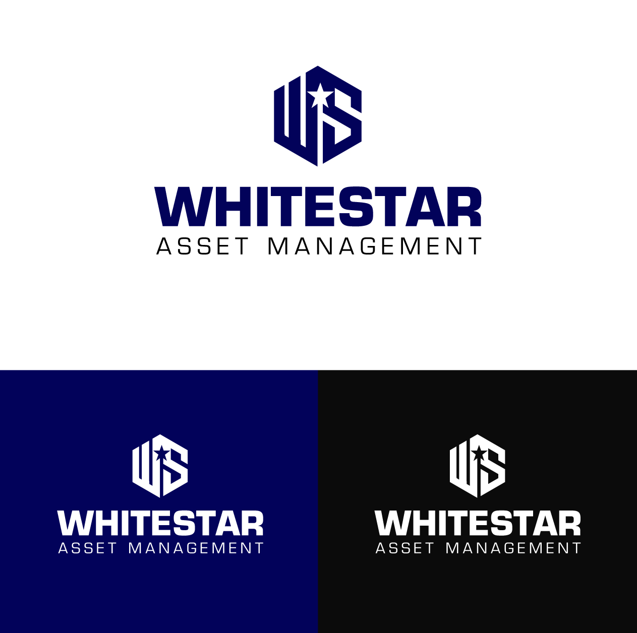Logo Design by BehindSymbols for WhiteStar Asset Management | Design #15355414
