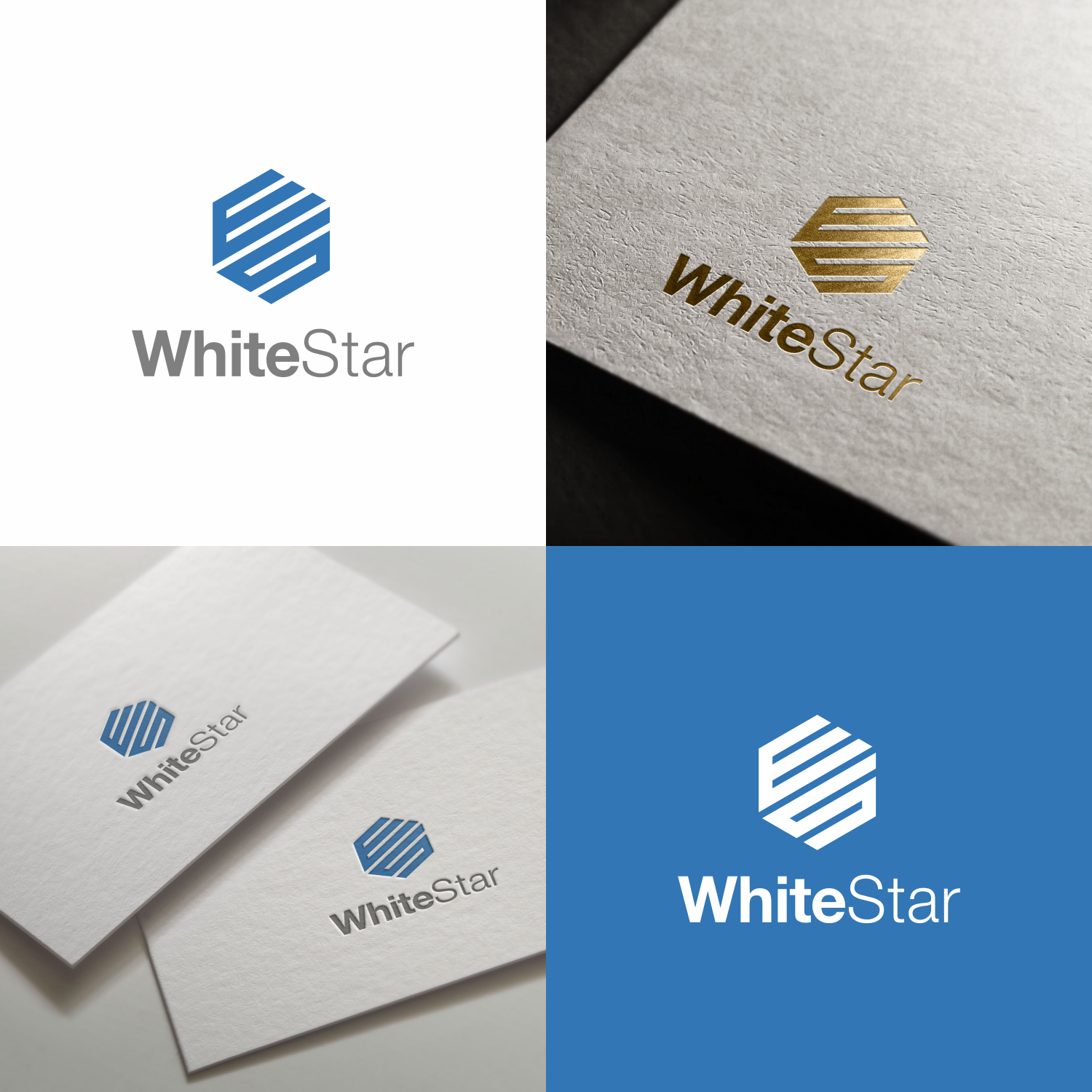 Logo Design by Optimistic_Studio for WhiteStar Asset Management | Design #15365858